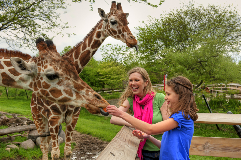 Attractions Indianapolis Zoo 076.jpg