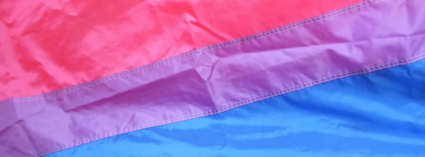 BiPridearticle