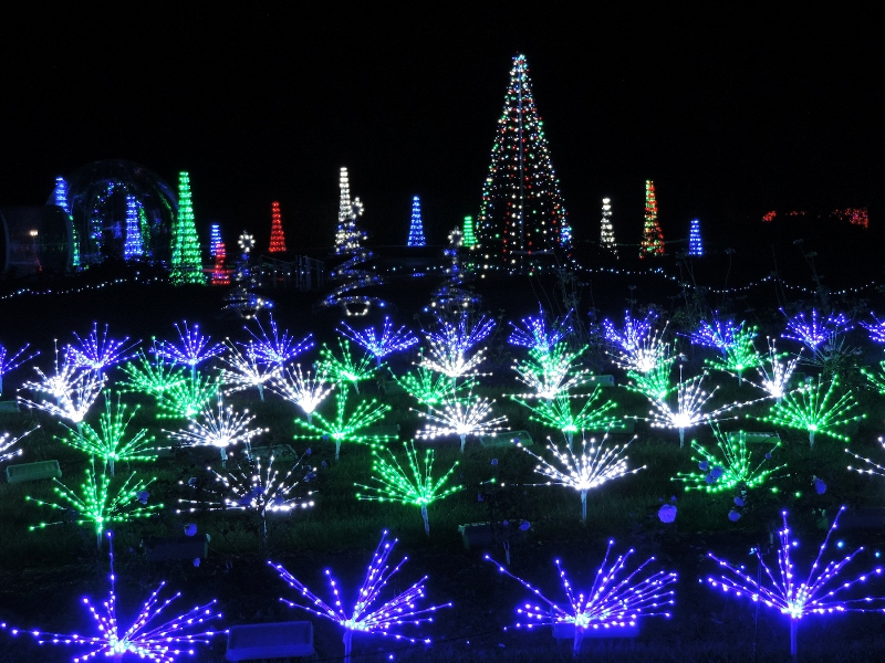 GardenGlow181