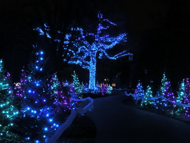 GardenGlow183