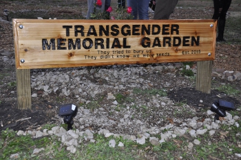 TDOR151