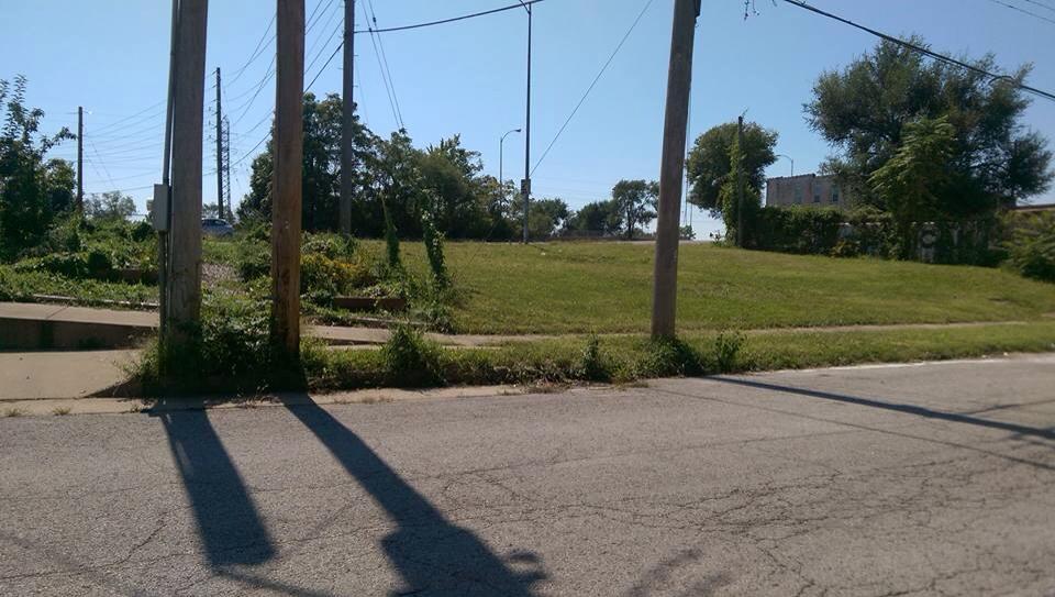 TransGarden2
