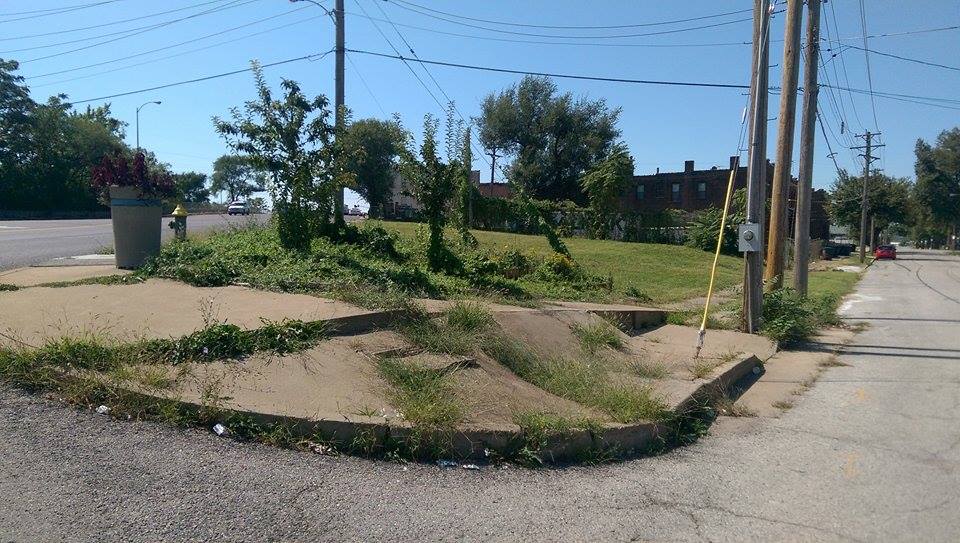 TransGarden3