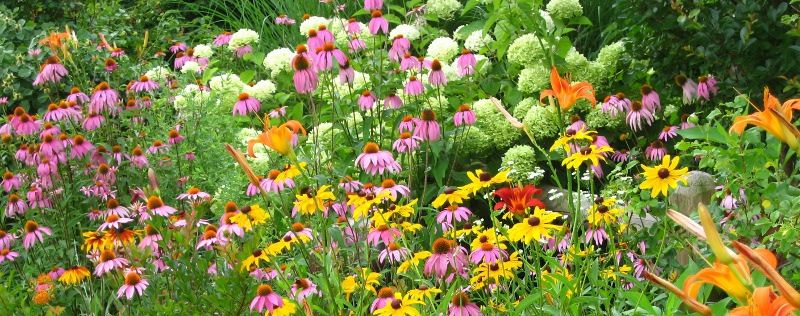 TransGardenarticle2