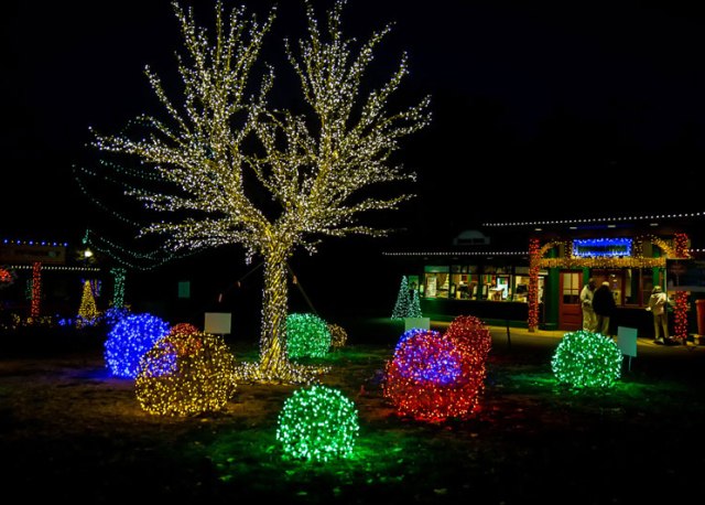 WildLights162