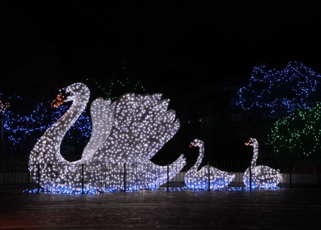 WildLights163