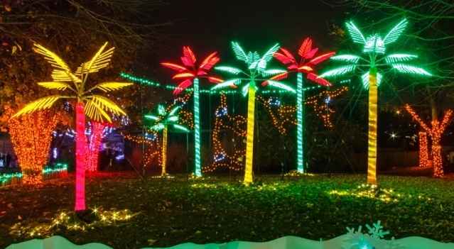 Wildlighs18Header2